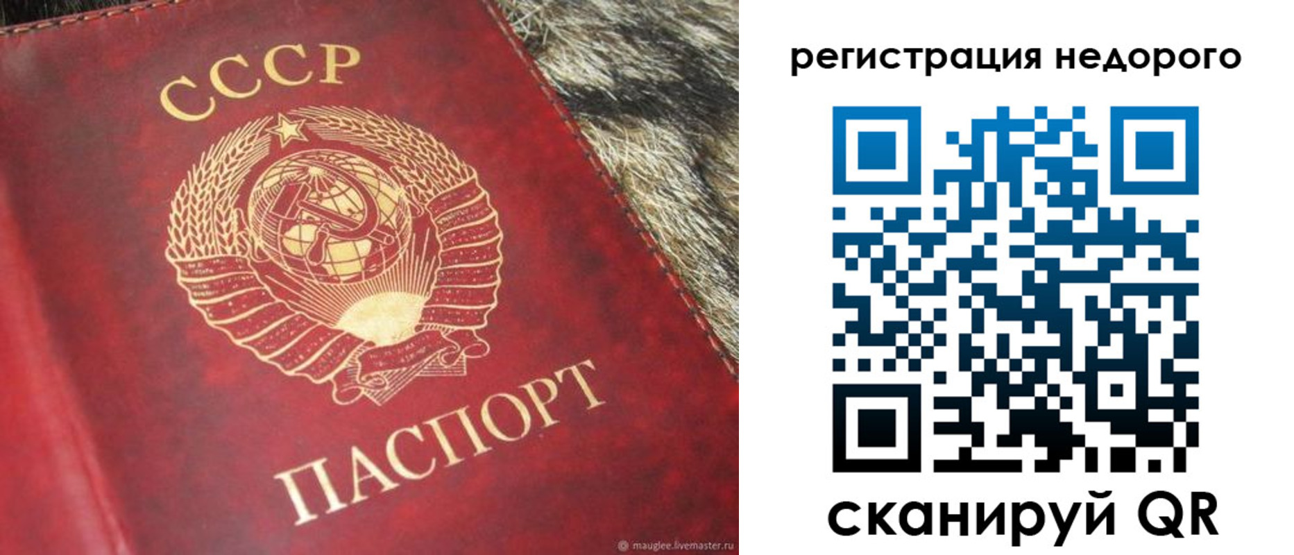 прописка ребенка в Мирном